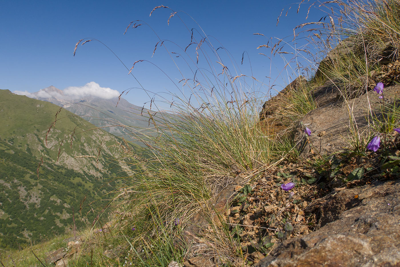 Чегетджара, image of landscape/habitat.