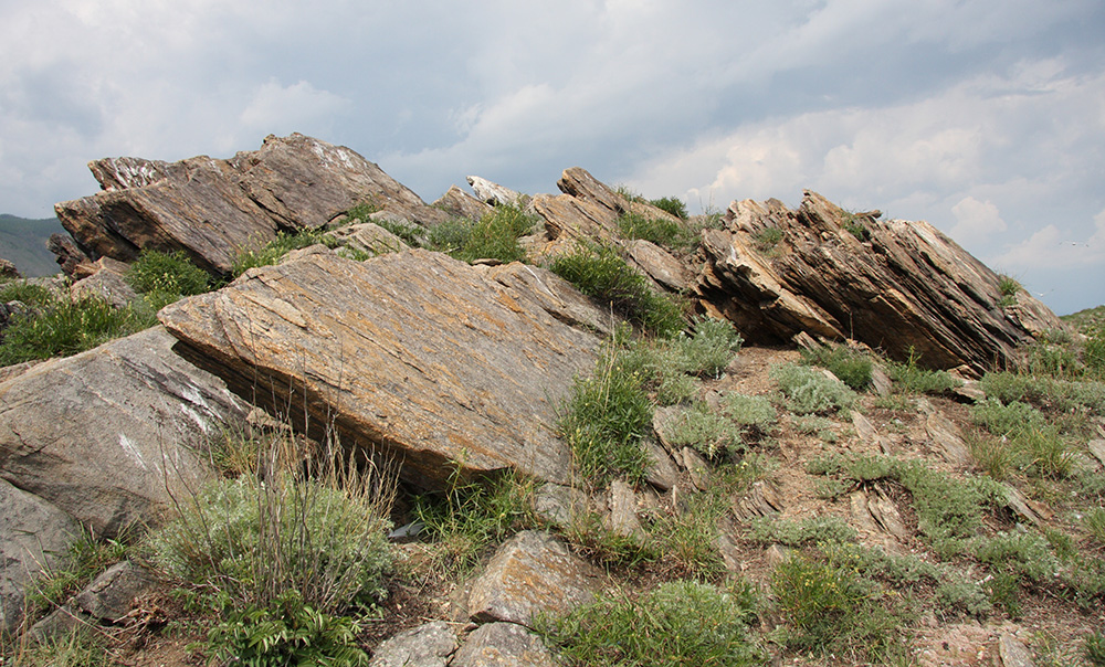 Окрестности Сармы, image of landscape/habitat.