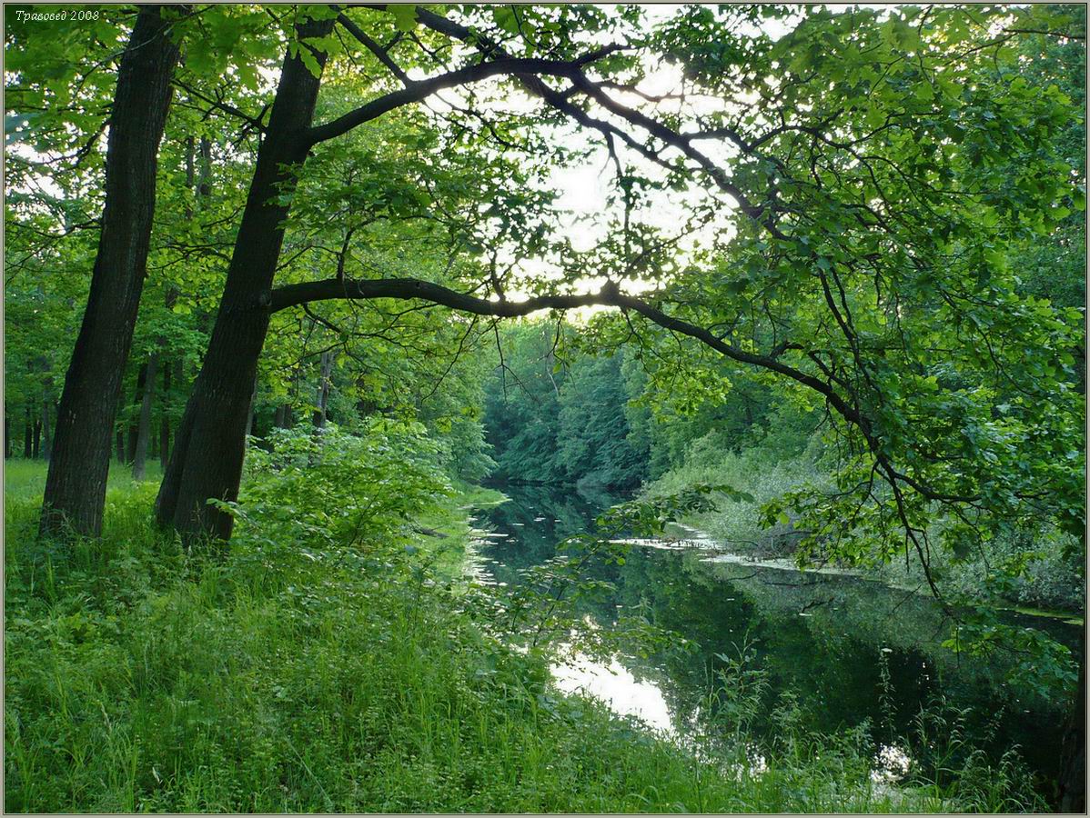 Пойма р. Линда, image of landscape/habitat.