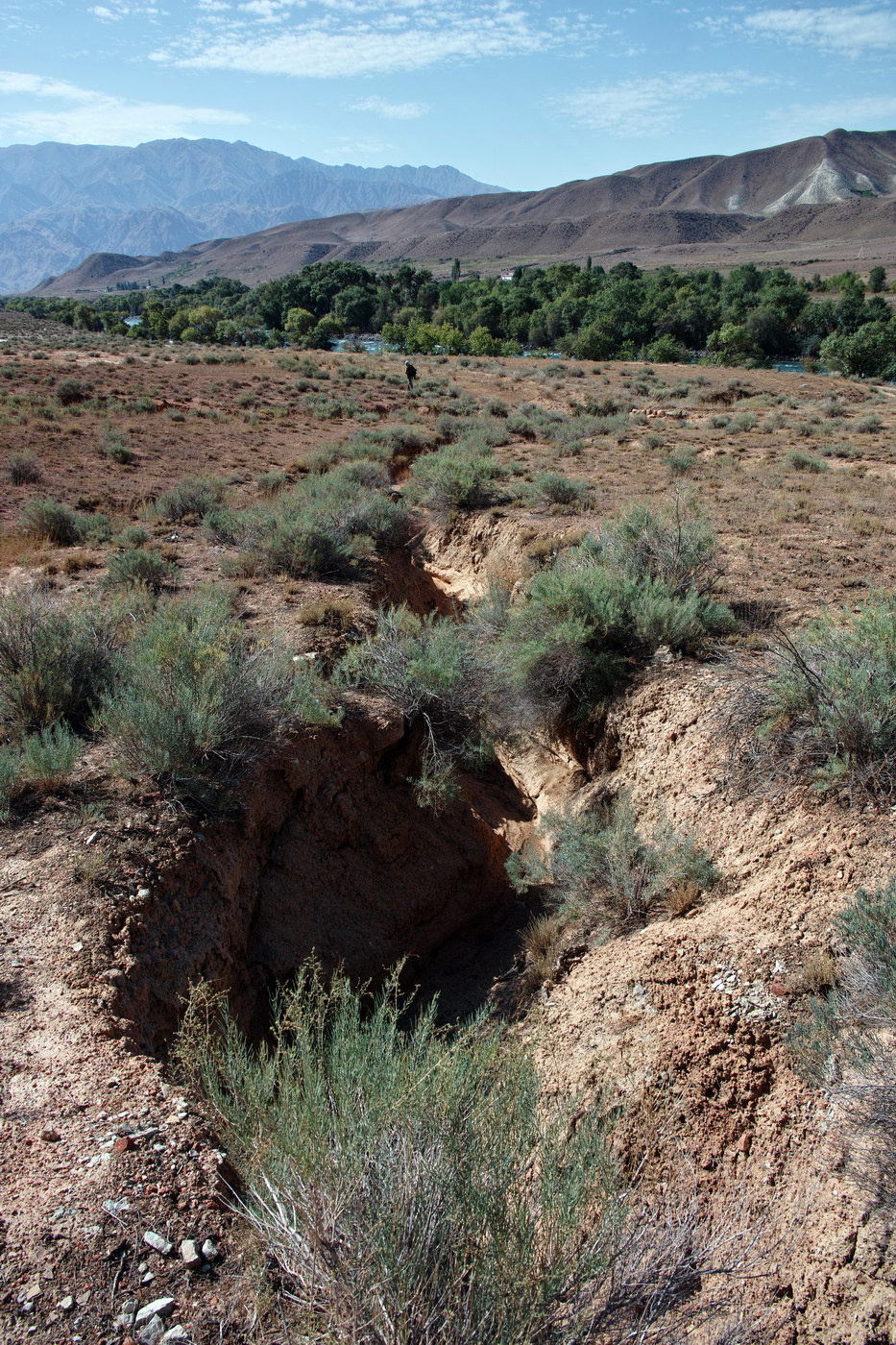 Кокомерен, image of landscape/habitat.