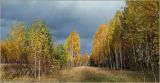 Урочище Карьер, image of landscape/habitat.