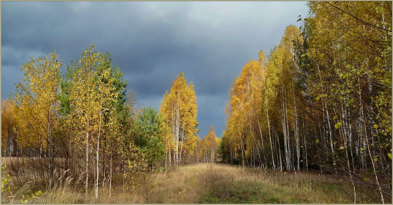 Урочище Карьер, image of landscape/habitat.