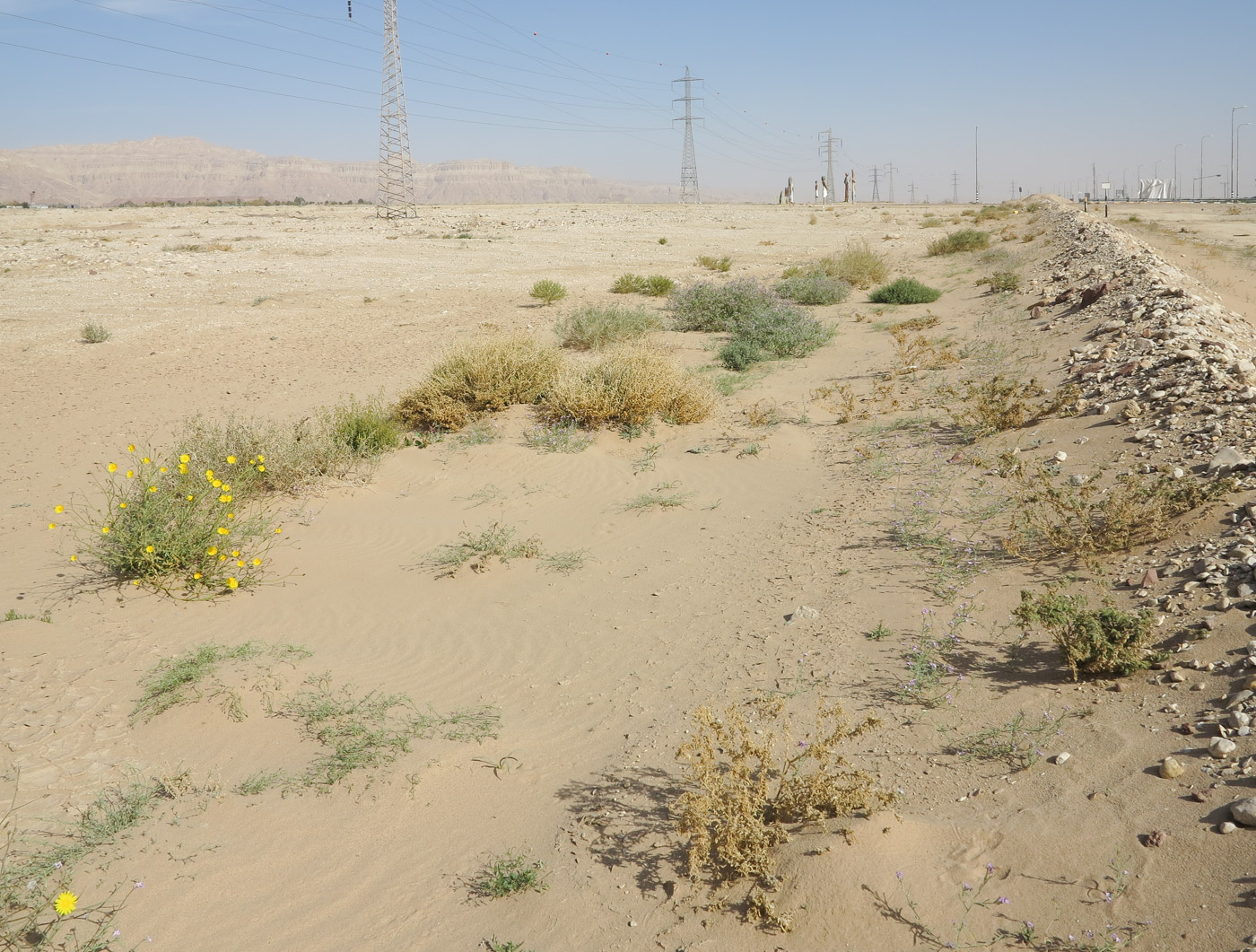 Эмек Арава, image of landscape/habitat.