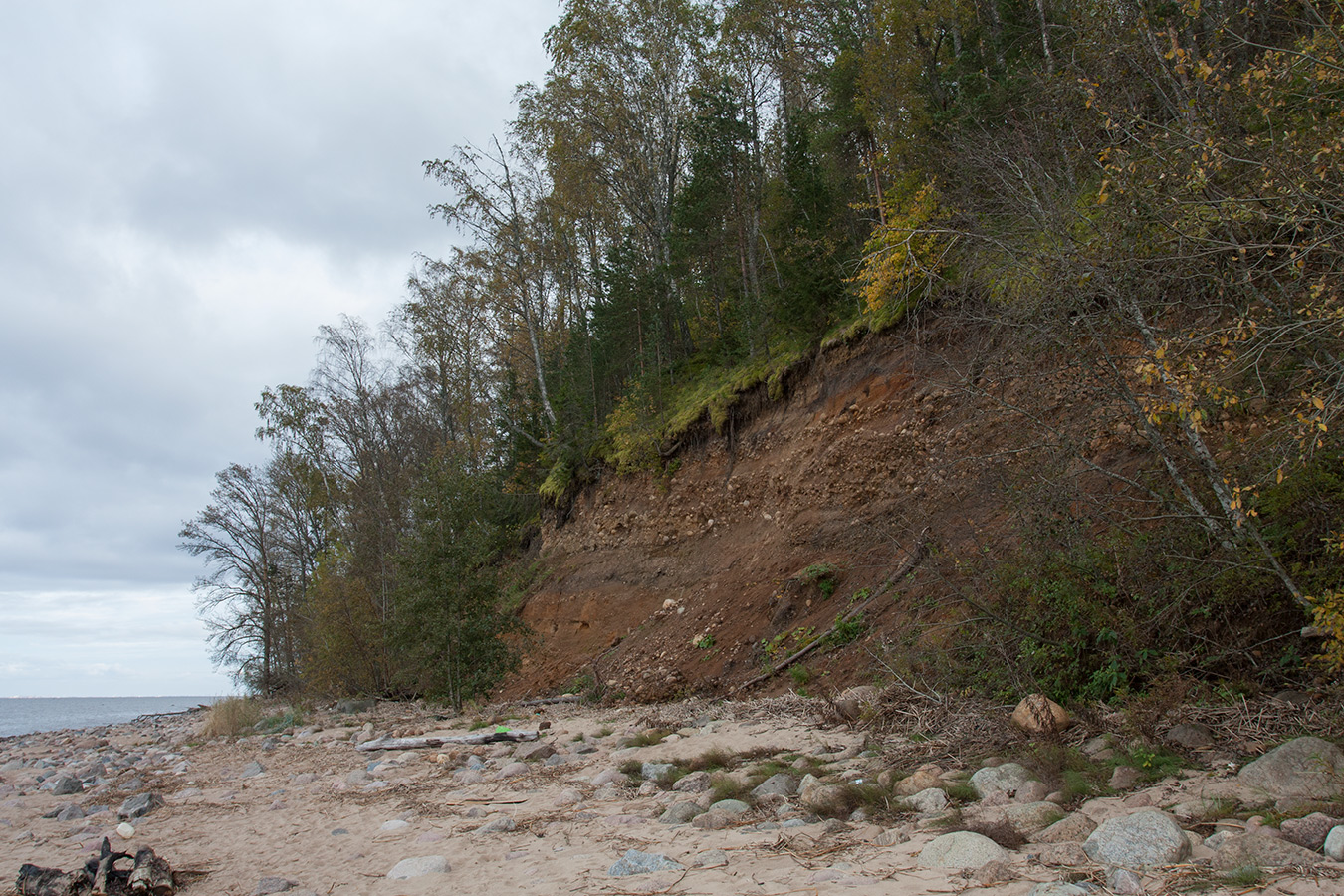 Красная Горка, image of landscape/habitat.