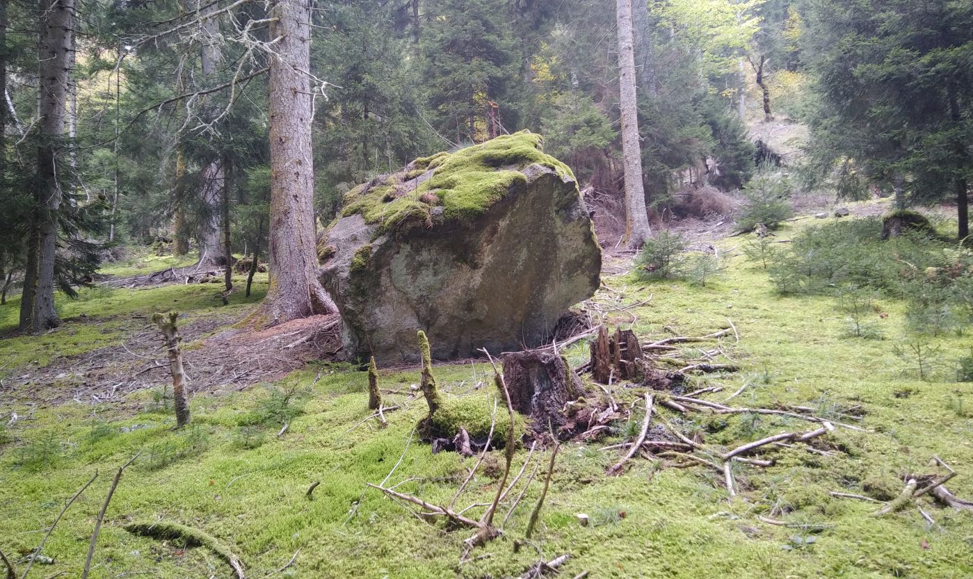 Долина ручья Квабисхеви, image of landscape/habitat.