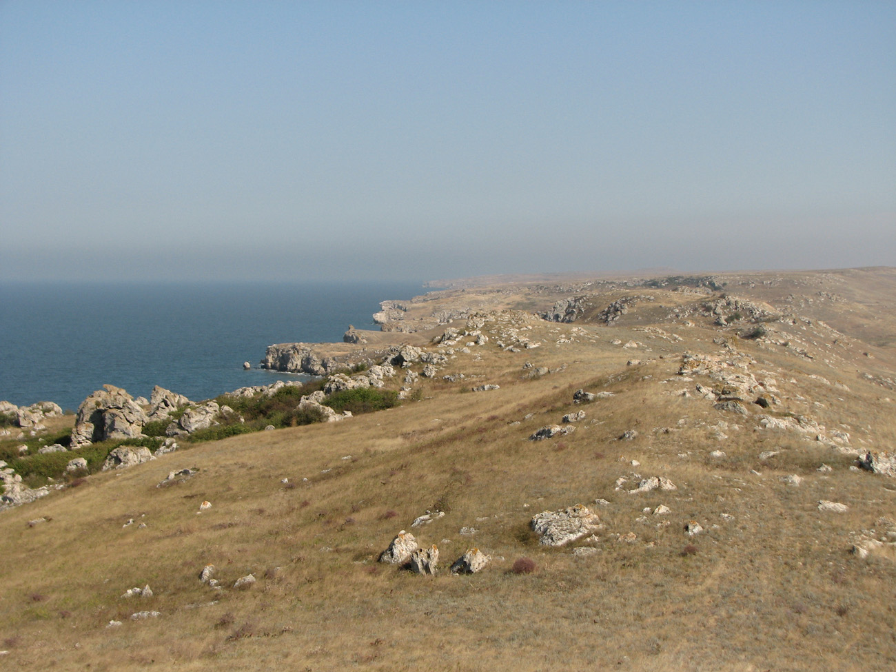 Караларская степь, image of landscape/habitat.