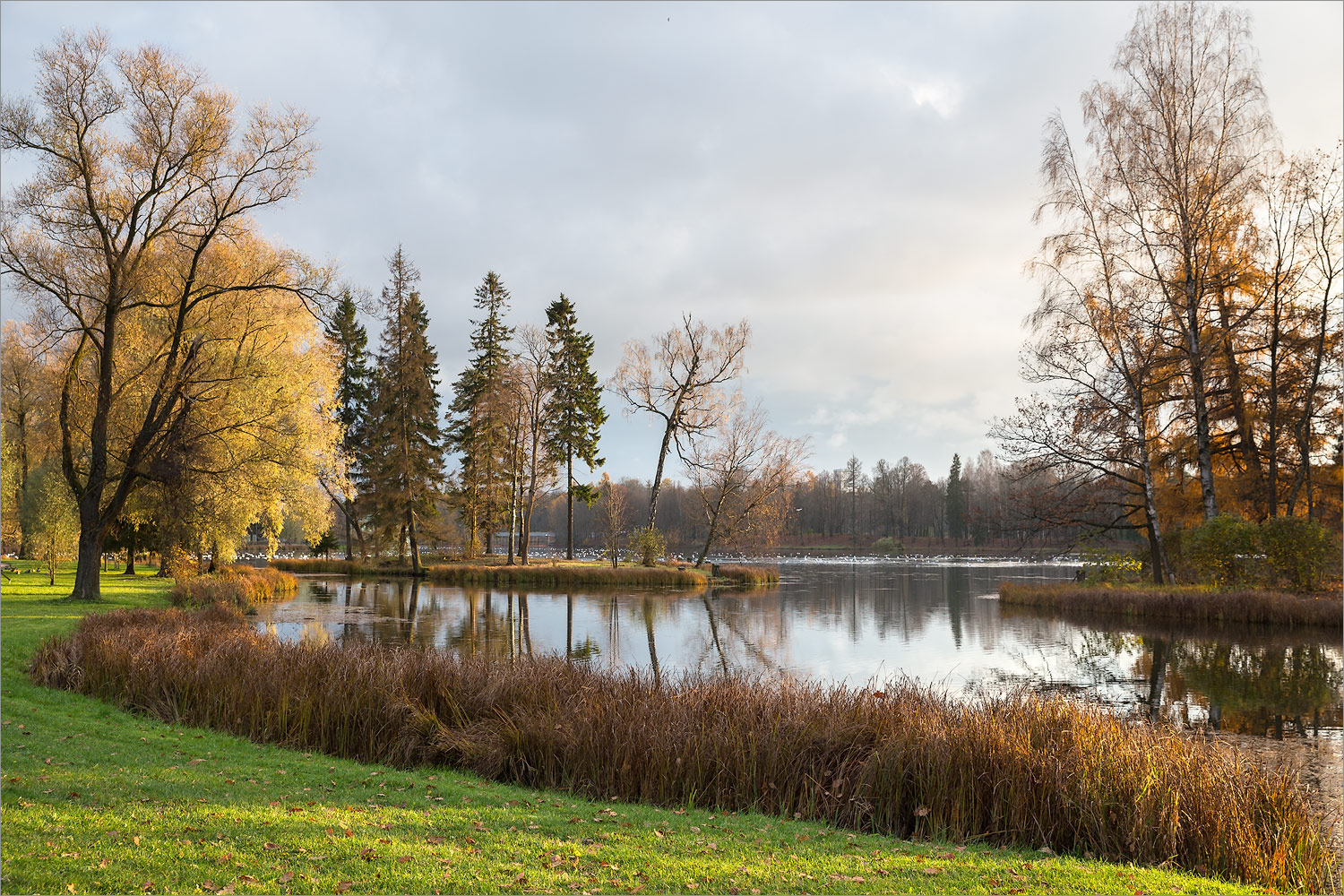 Гатчинские парки, image of landscape/habitat.