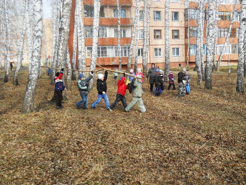 Берёзовый колок, изображение ландшафта.