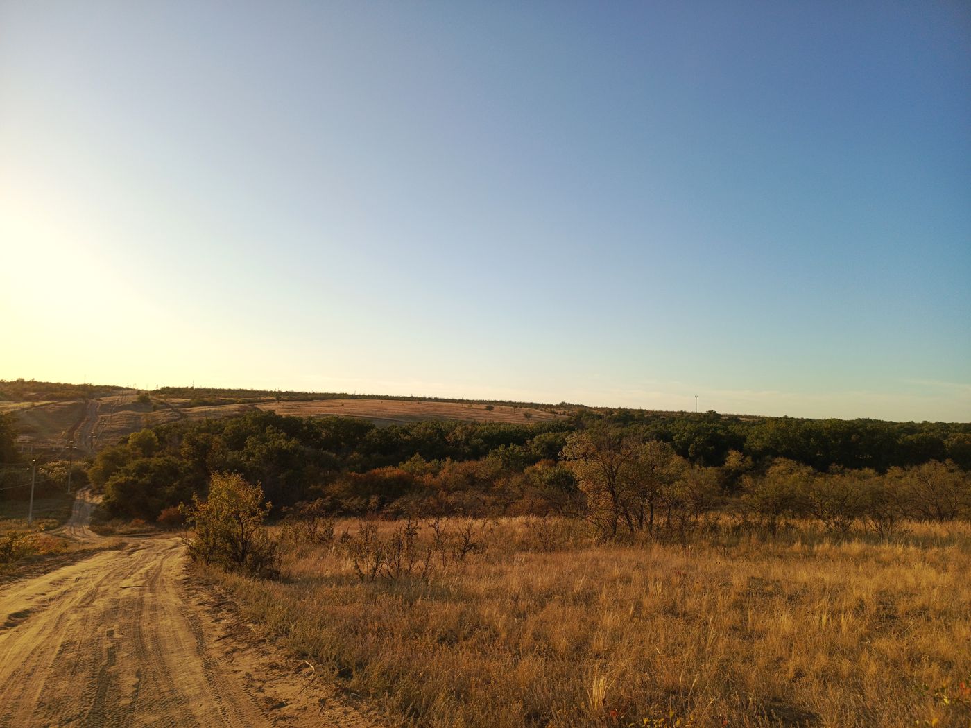 Чапурниковская балка, image of landscape/habitat.