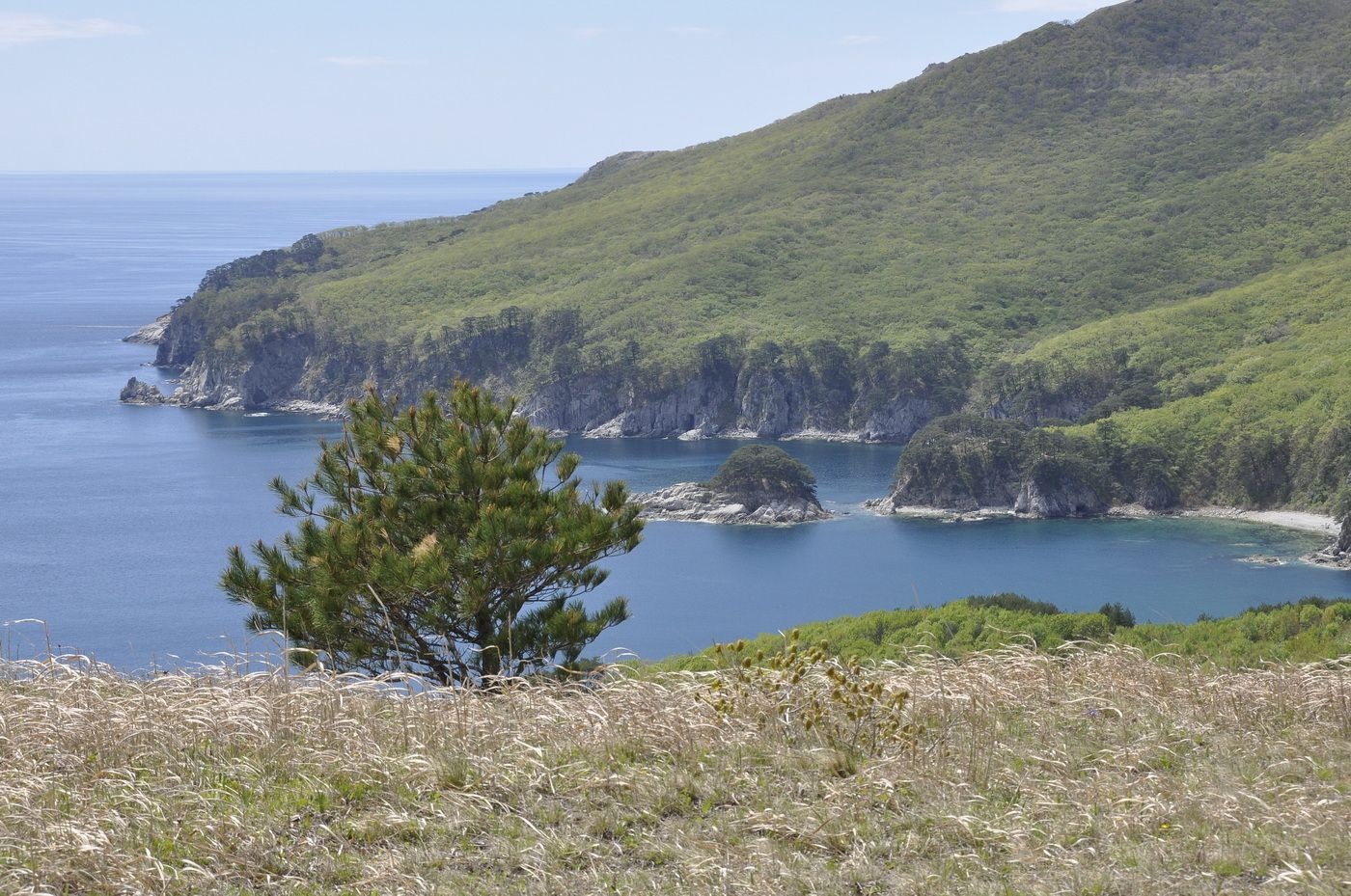 Бухта Теляковского, image of landscape/habitat.