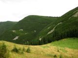 Image of landscape