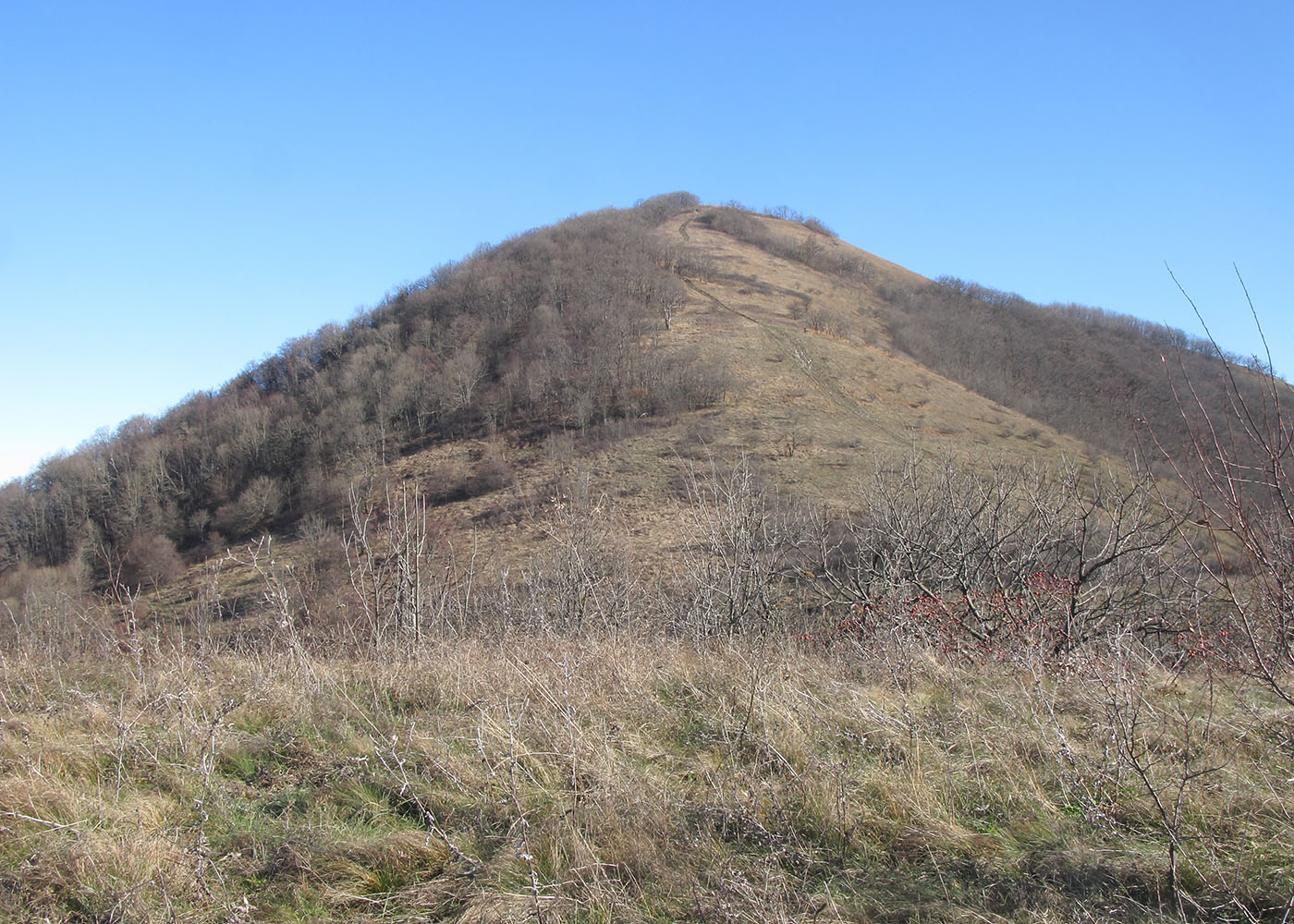Свинцовая, image of landscape/habitat.