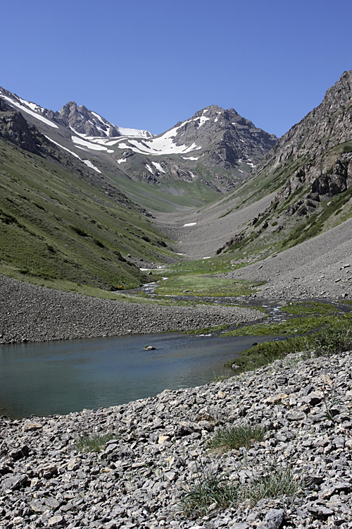 Ущелье Коксай, image of landscape/habitat.
