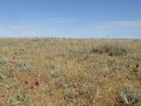 Image of landscape