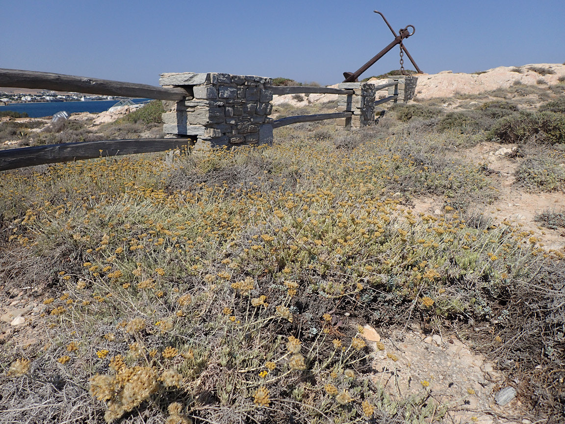 Остров Парос, image of landscape/habitat.