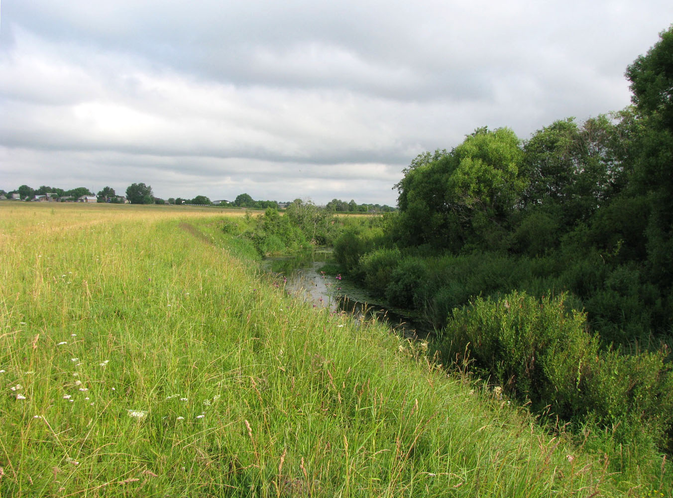 Река Шаха, image of landscape/habitat.