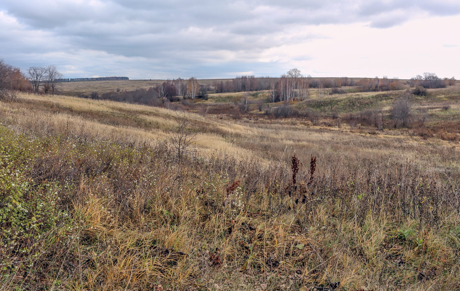 Окрестности села Красный Бор, image of landscape/habitat.