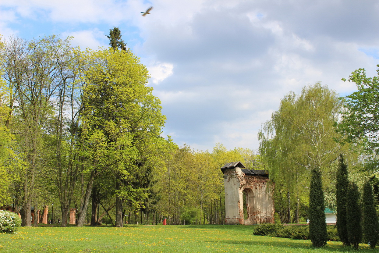 Лошицкий парк, изображение ландшафта.