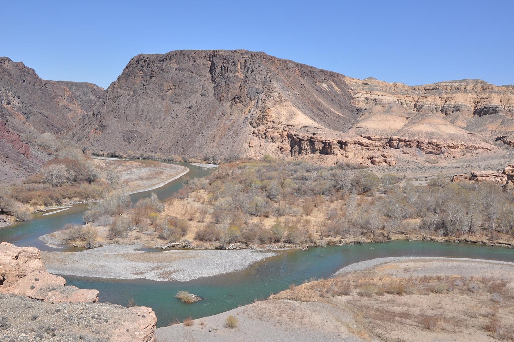 Куртогай, image of landscape/habitat.