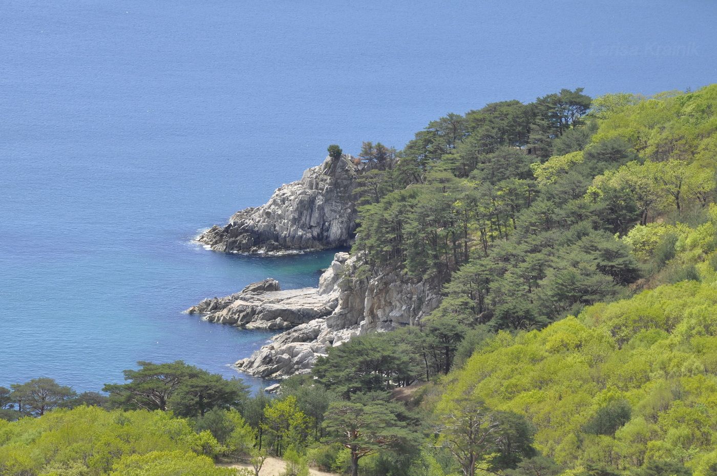 Бухта Теляковского, image of landscape/habitat.