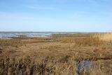 Image of landscape