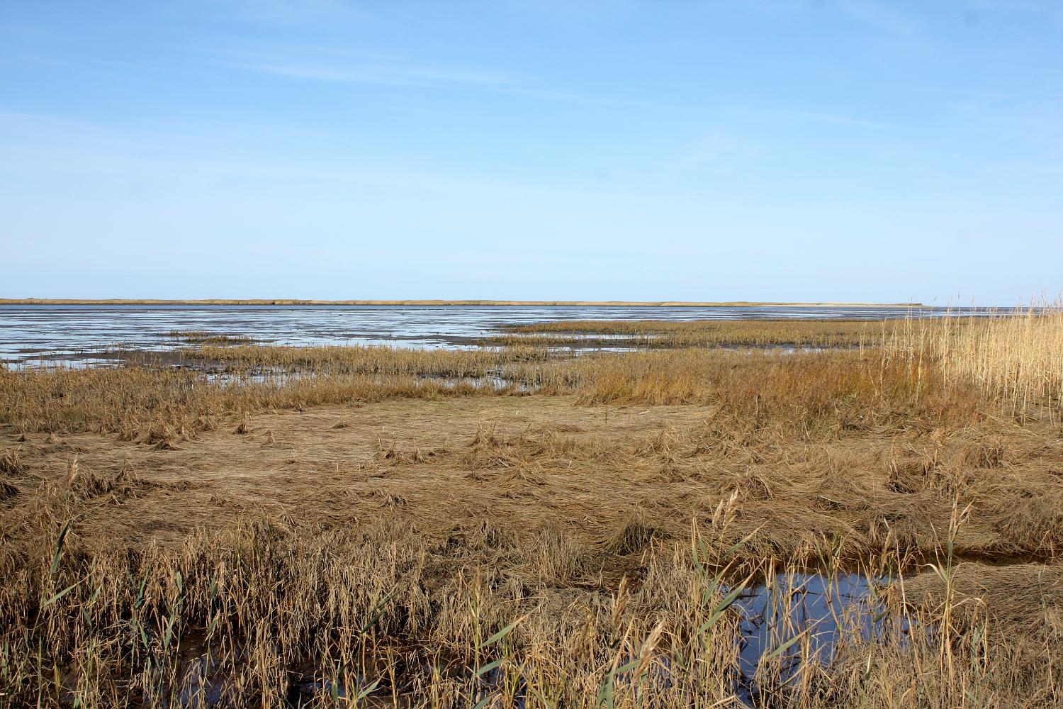 Ягры, image of landscape/habitat.