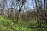 Image of landscape