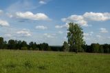 Image of landscape