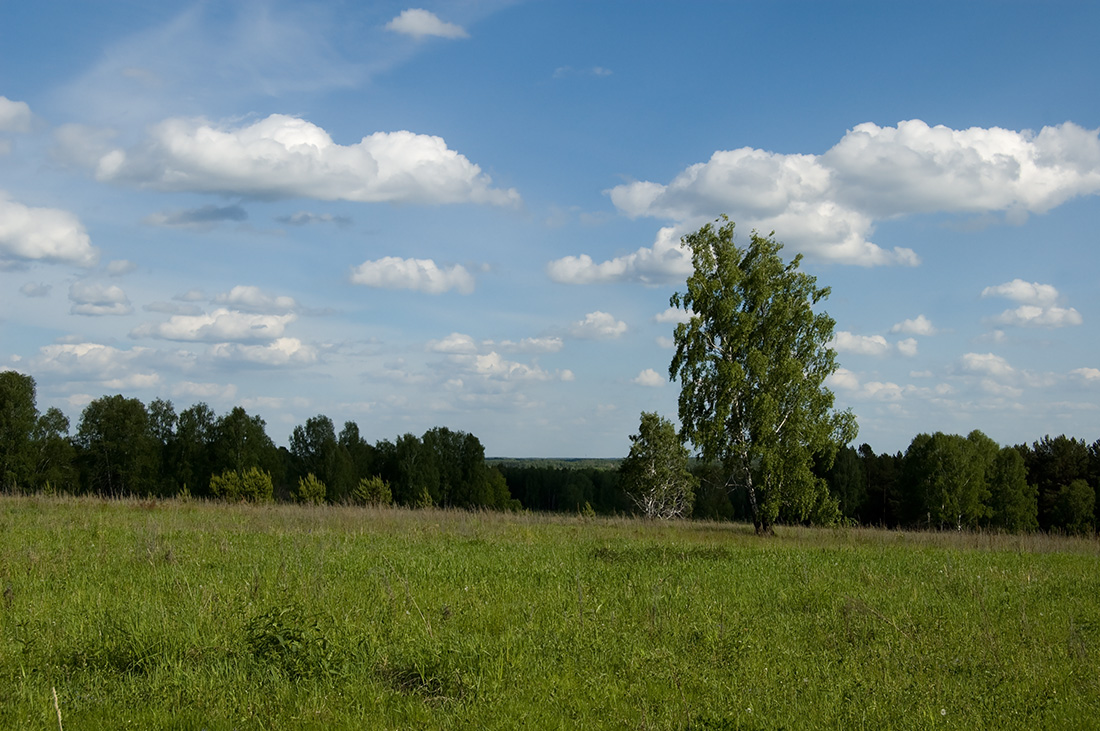 Мошковский район, изображение ландшафта.
