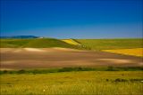 Плато Узун-Сырт (Клементьева), image of landscape/habitat.