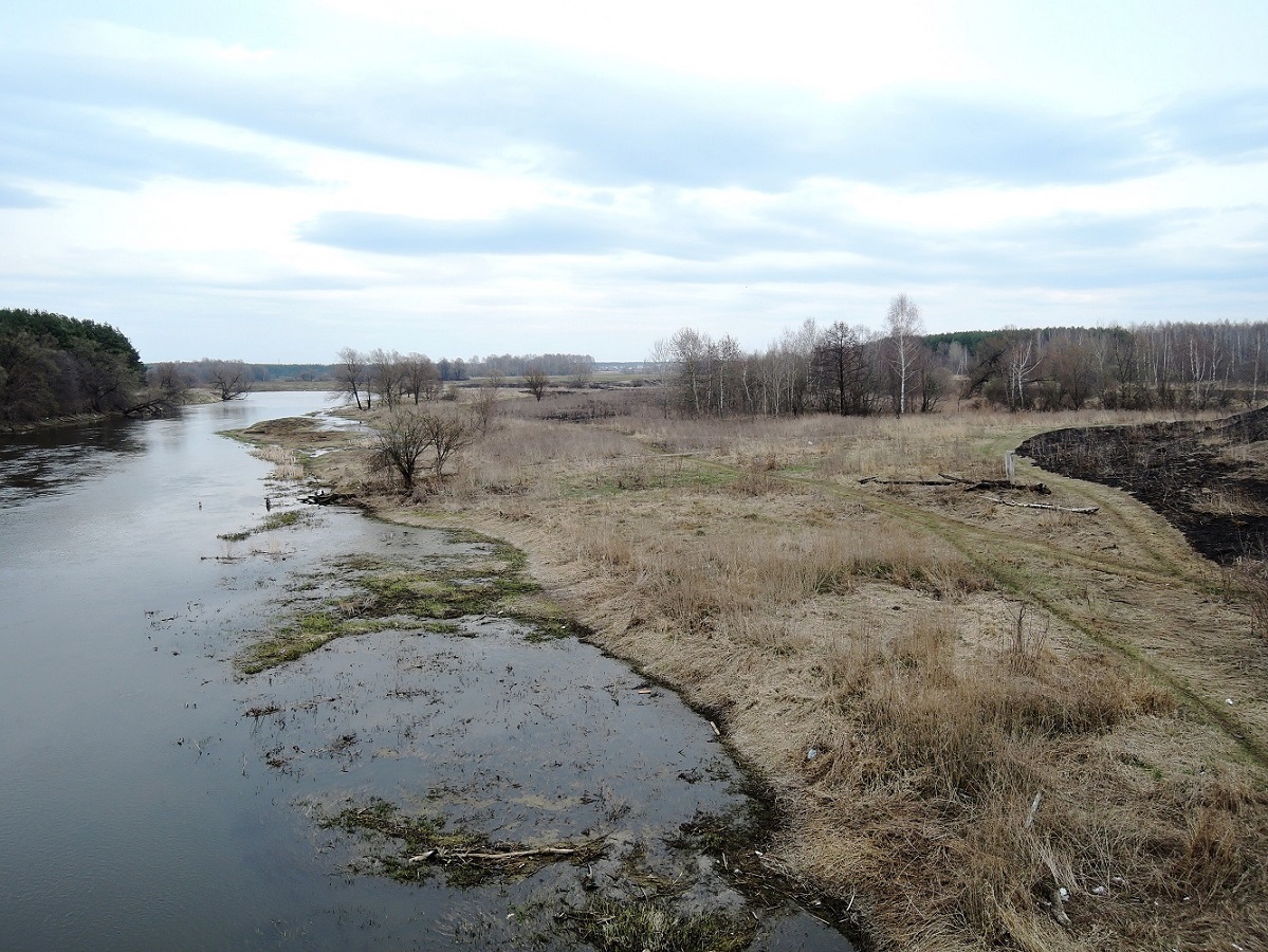 Павловский Посад и окрестности, image of landscape/habitat.