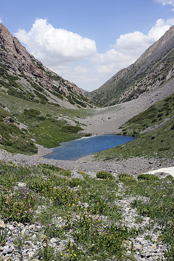 Ущелье Коксай, image of landscape/habitat.