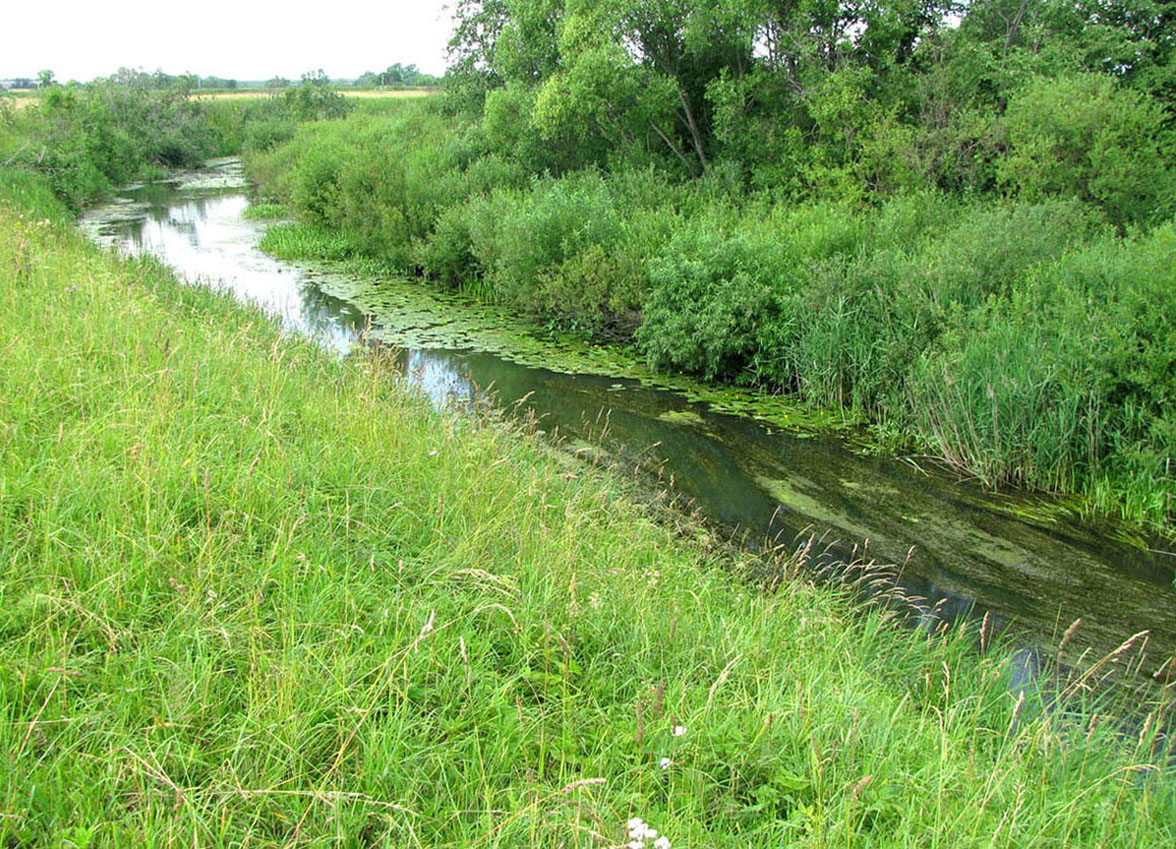 Река Шаха, image of landscape/habitat.