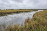 Окрестности Горнореченска, image of landscape/habitat.