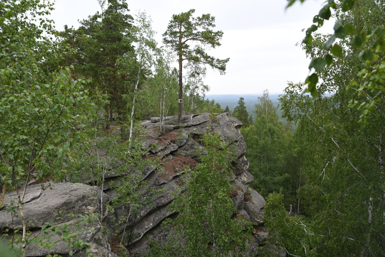 Гора Аракуль, image of landscape/habitat.