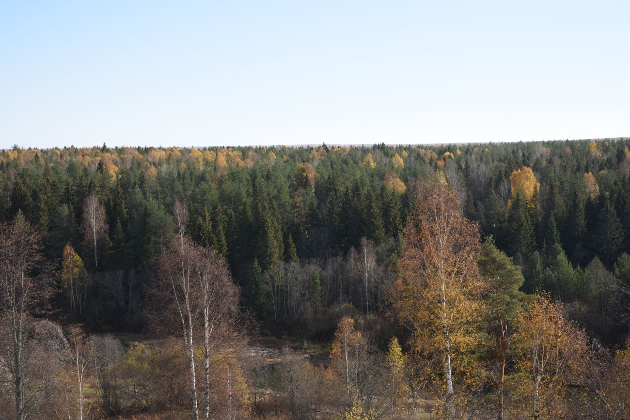 Шартаново, image of landscape/habitat.