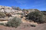 Image of landscape