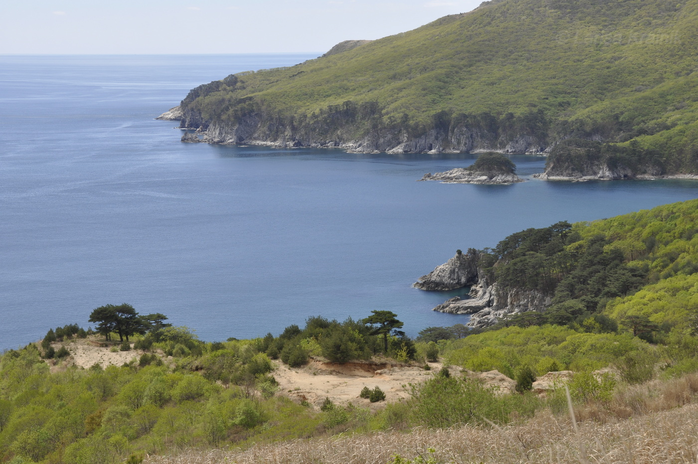 Бухта Теляковского, image of landscape/habitat.
