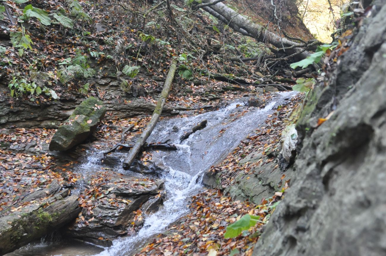Два Водопада и окрестности, image of landscape/habitat.