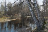 Image of landscape