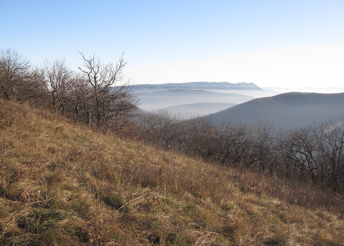 Свинцовая, image of landscape/habitat.