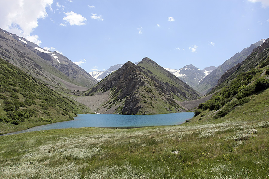 Ущелье Коксай, image of landscape/habitat.