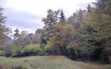 Image of landscape