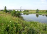 Image of landscape