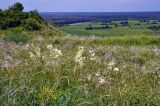 Image of landscape