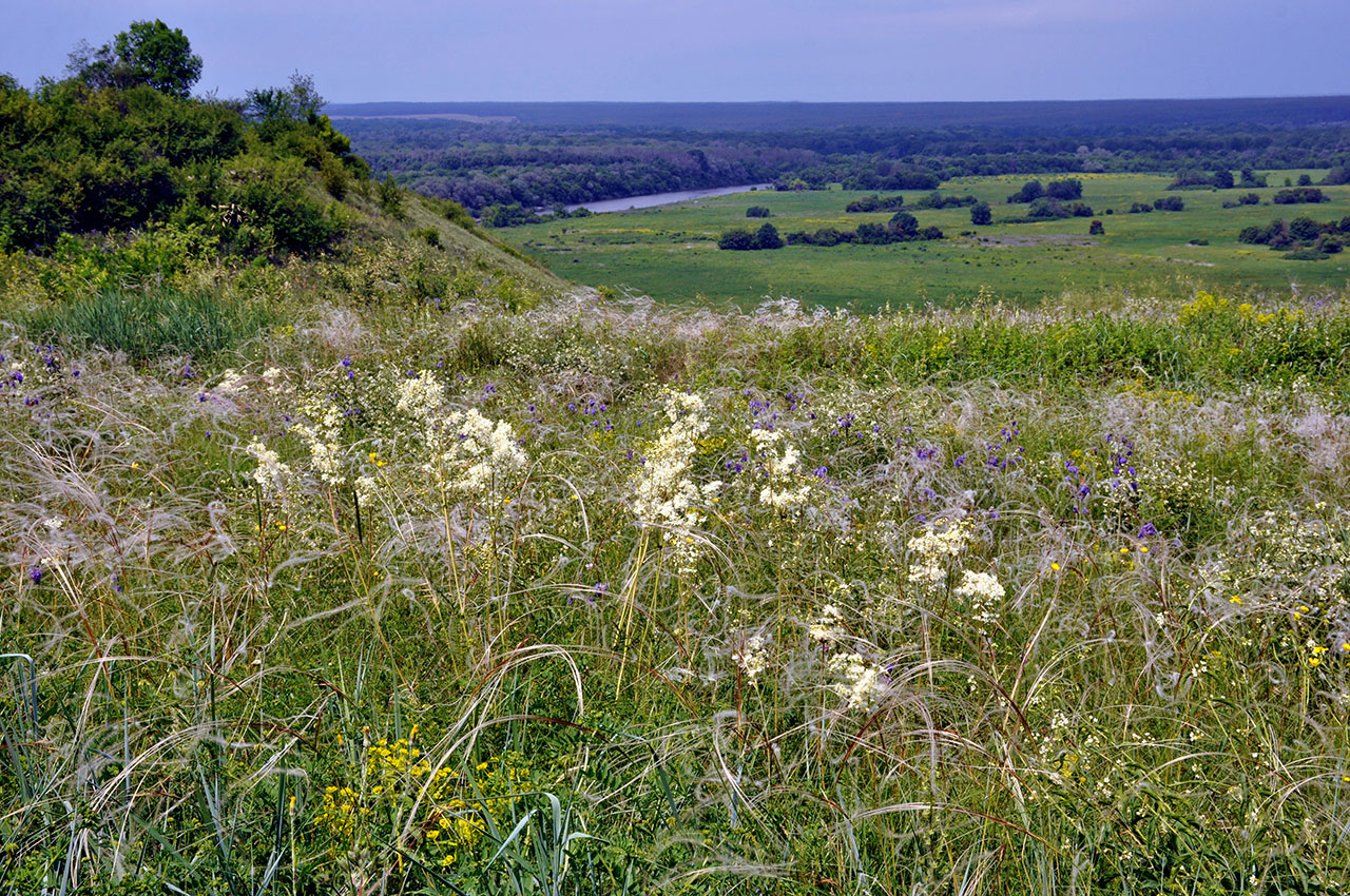 Дивногорье, image of landscape/habitat.