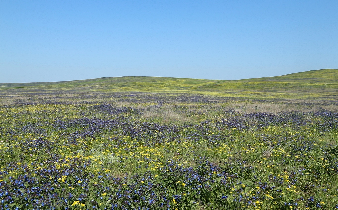 Опук, image of landscape/habitat.