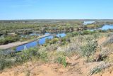 Узынтубек, image of landscape/habitat.