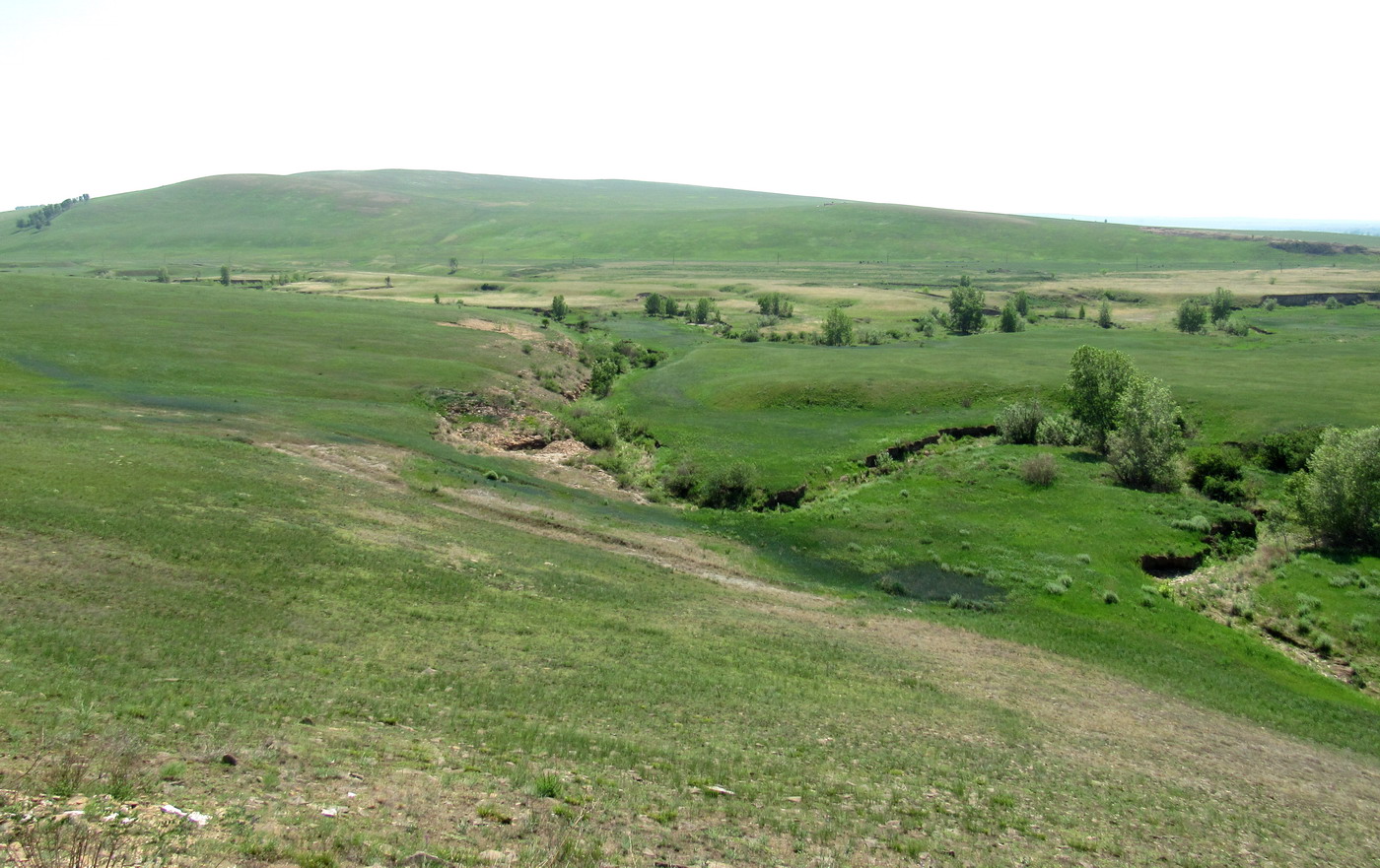 Кавказский Бор, image of landscape/habitat.