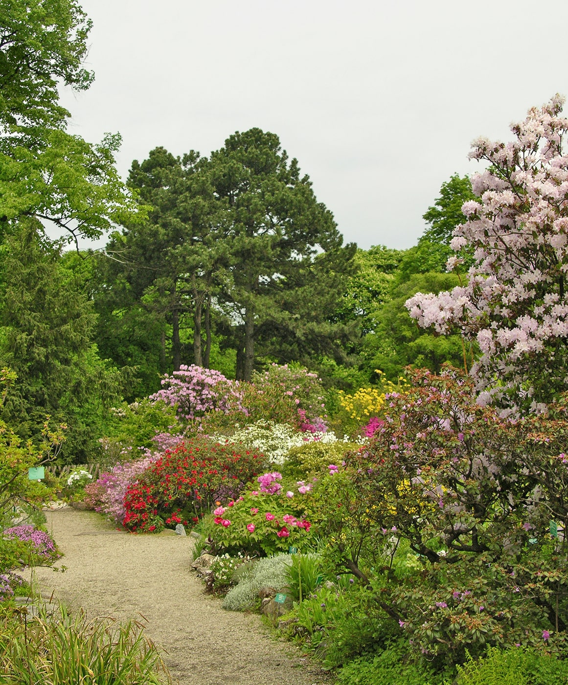 Бельведер, image of landscape/habitat.